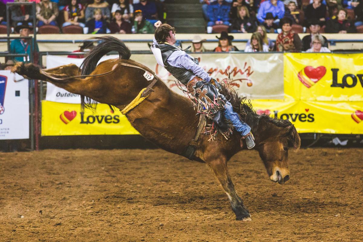 Latest News IPRA Rodeo