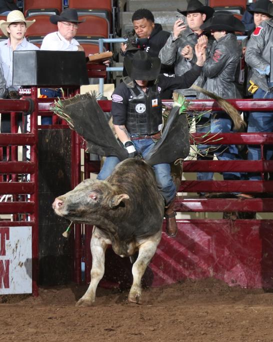 Corey Baily Bull Riding Photo